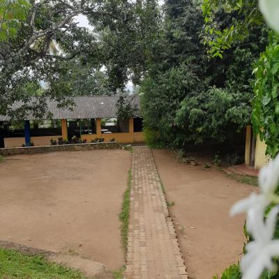 පාලසලේ චායාරුප